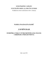 EUROPSKA UNIJA U FUNKCIJI POTICANJA MALOG I SREDNJEG PODUZETNIŠTVA